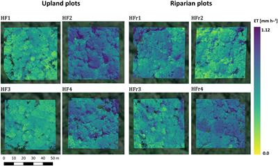 UAV-based thermography reveals spatial and temporal variability of evapotranspiration from a tropical rainforest